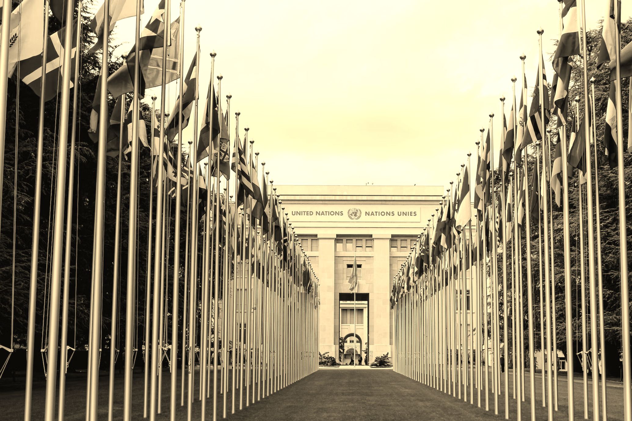 Photo of the UN building with flags in the foreground