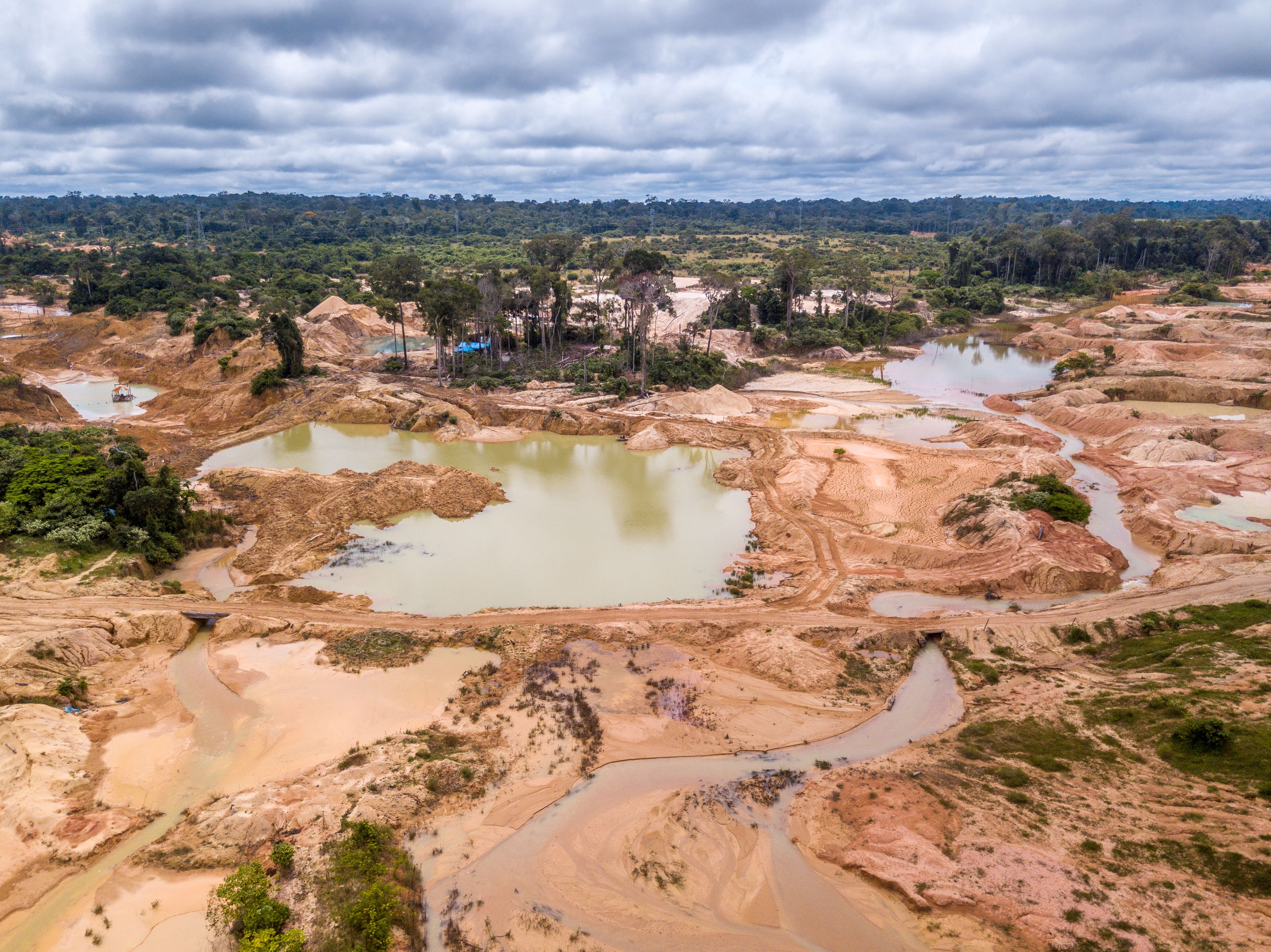 Deforestation in the Brazilian Amazon caused by illegal mining.