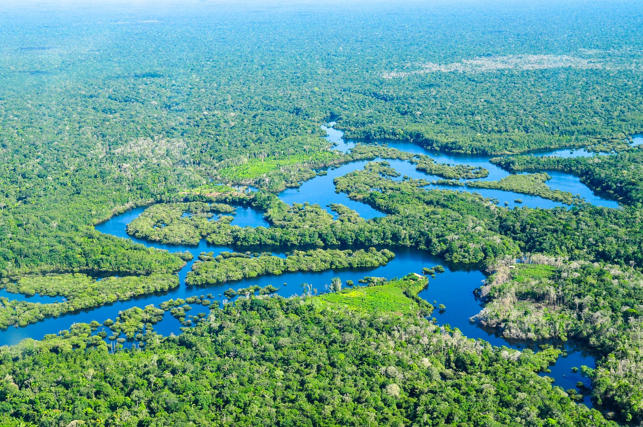 Amazon forest aerial view